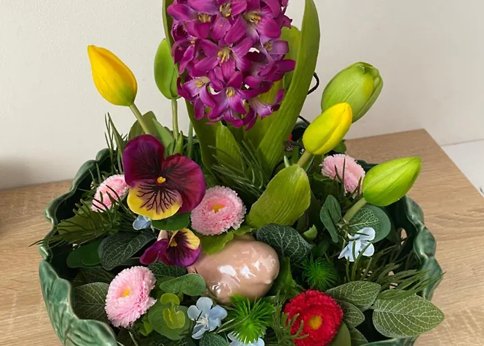 Nasze Kamienice Express Glowny *